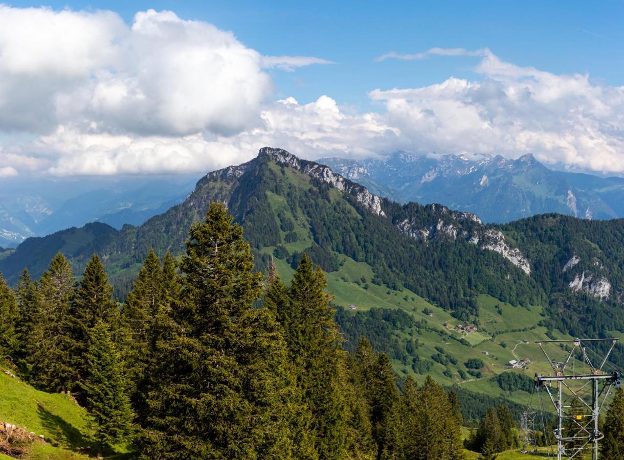 Rigi-Burggeist Alpine Guesthouse Герсау Экстерьер фото