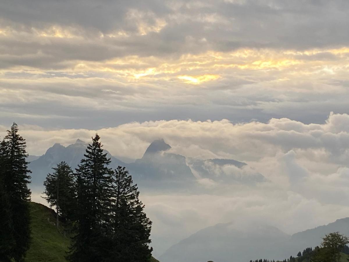 Rigi-Burggeist Alpine Guesthouse Герсау Экстерьер фото