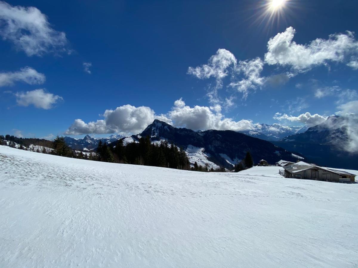 Rigi-Burggeist Alpine Guesthouse Герсау Экстерьер фото