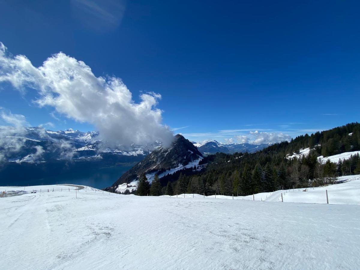 Rigi-Burggeist Alpine Guesthouse Герсау Экстерьер фото