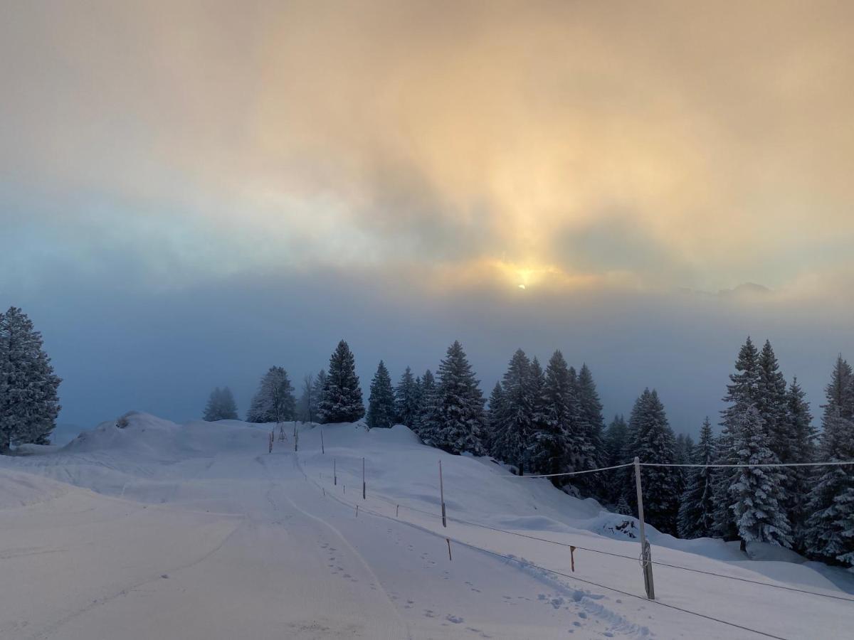 Rigi-Burggeist Alpine Guesthouse Герсау Экстерьер фото