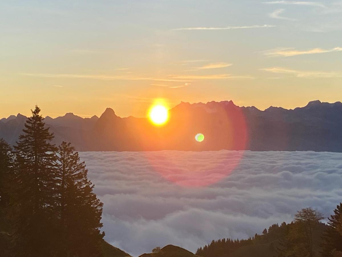 Rigi-Burggeist Alpine Guesthouse Герсау Экстерьер фото