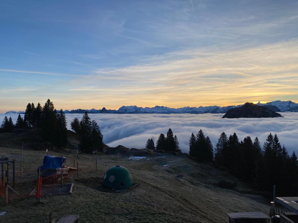 Rigi-Burggeist Alpine Guesthouse Герсау Экстерьер фото