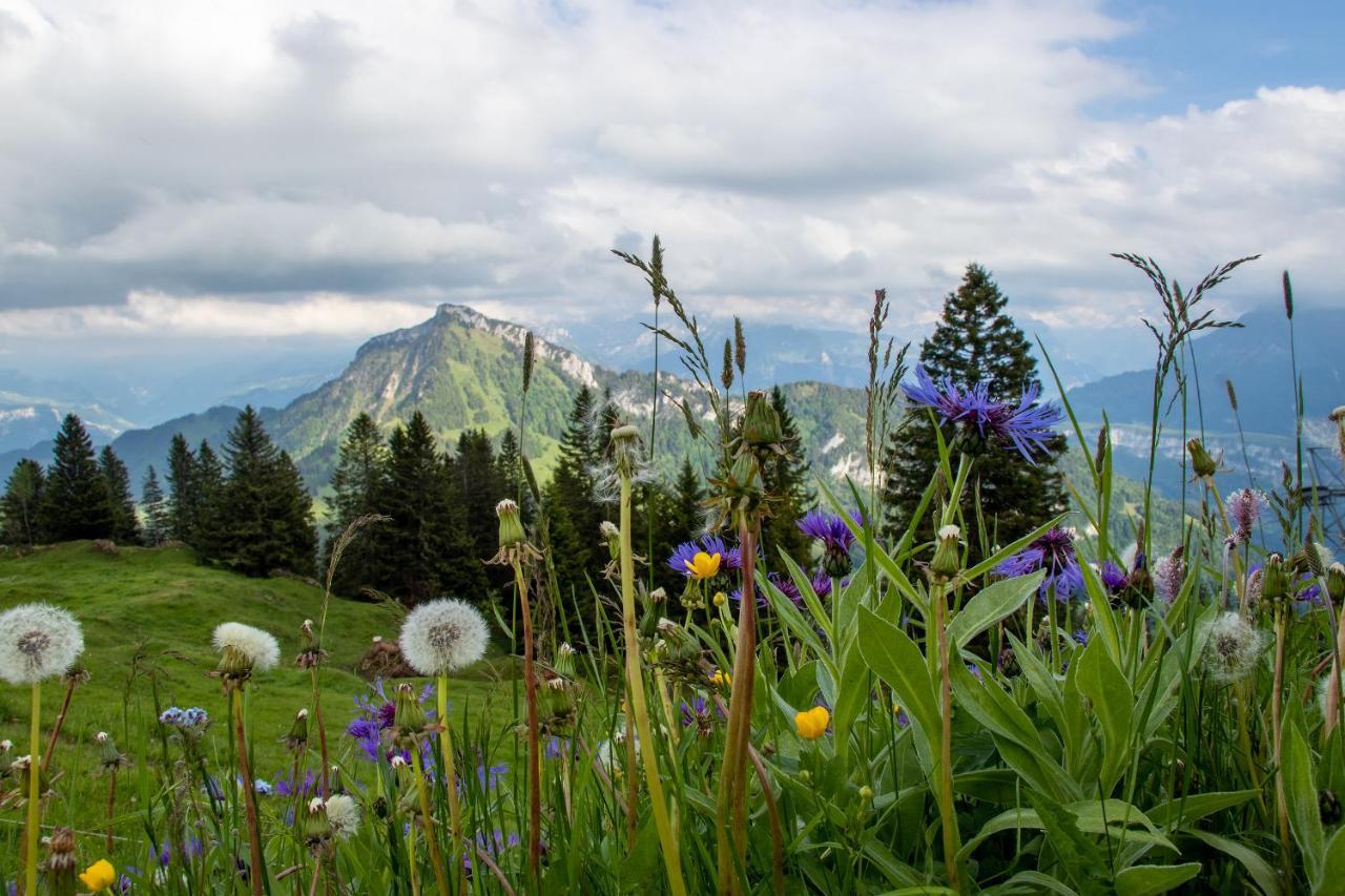 Rigi-Burggeist Alpine Guesthouse Герсау Экстерьер фото
