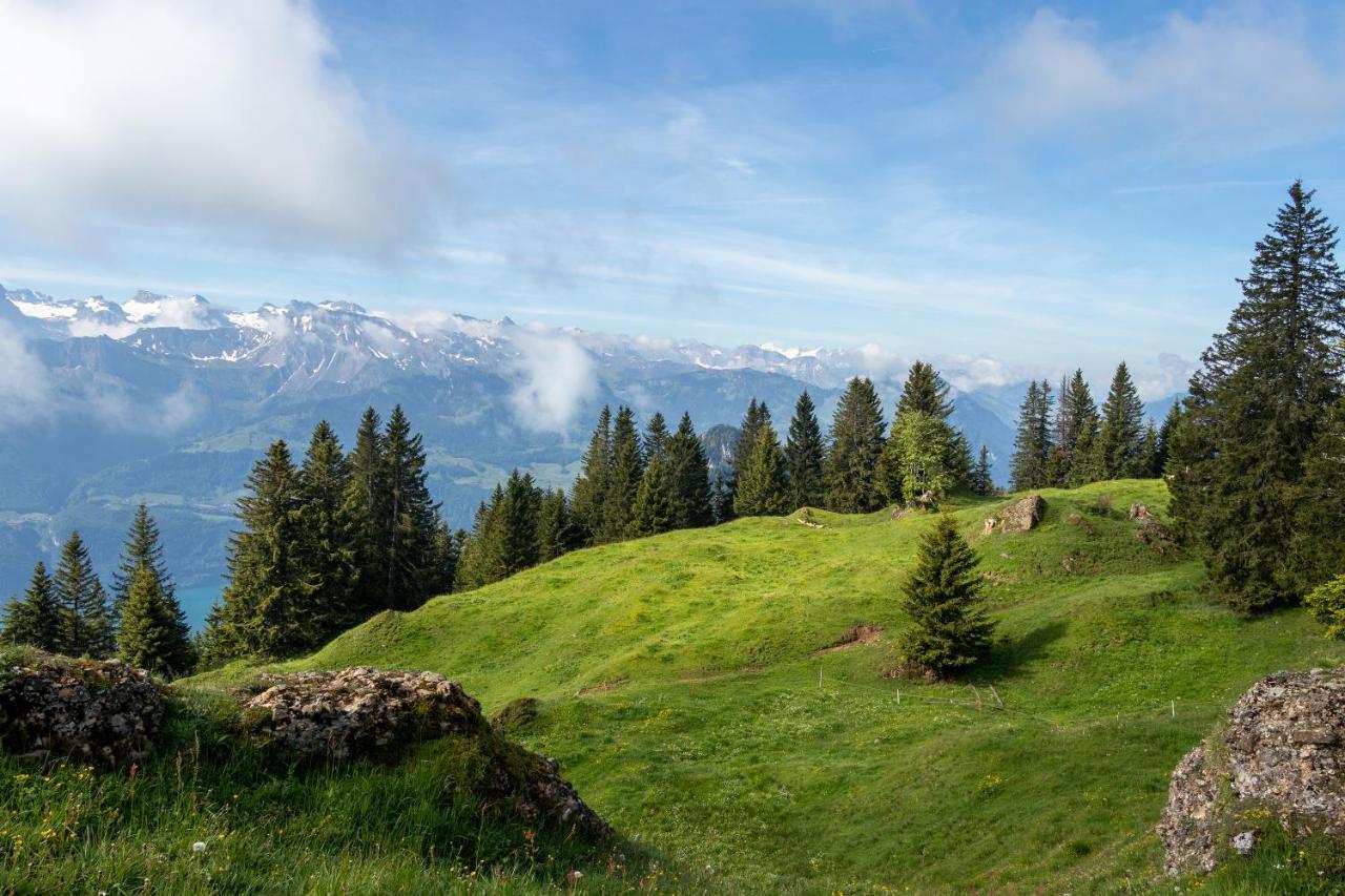 Rigi-Burggeist Alpine Guesthouse Герсау Экстерьер фото