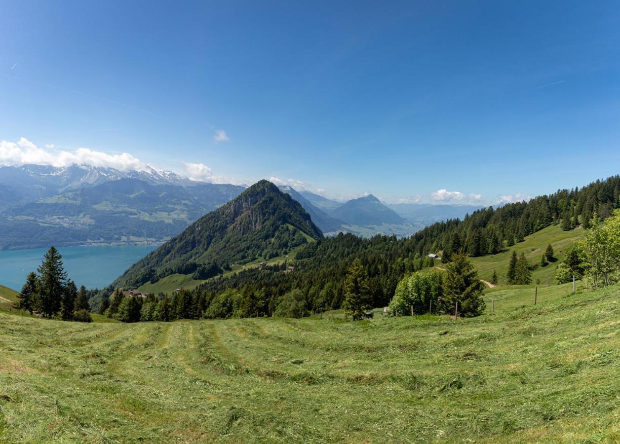 Rigi-Burggeist Alpine Guesthouse Герсау Экстерьер фото