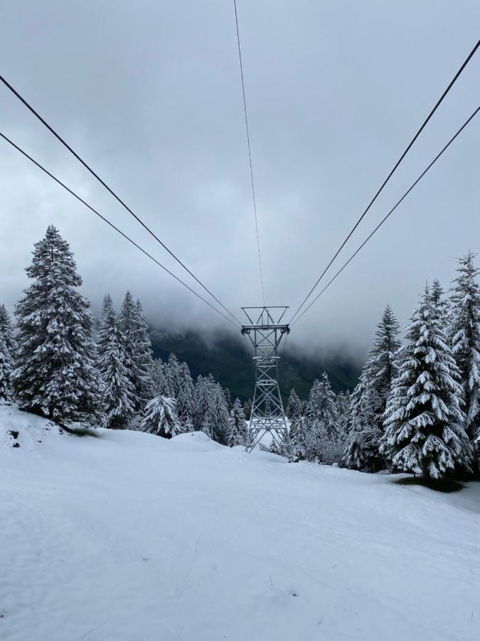 Rigi-Burggeist Alpine Guesthouse Герсау Экстерьер фото