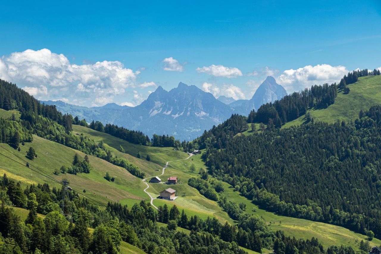 Rigi-Burggeist Alpine Guesthouse Герсау Экстерьер фото