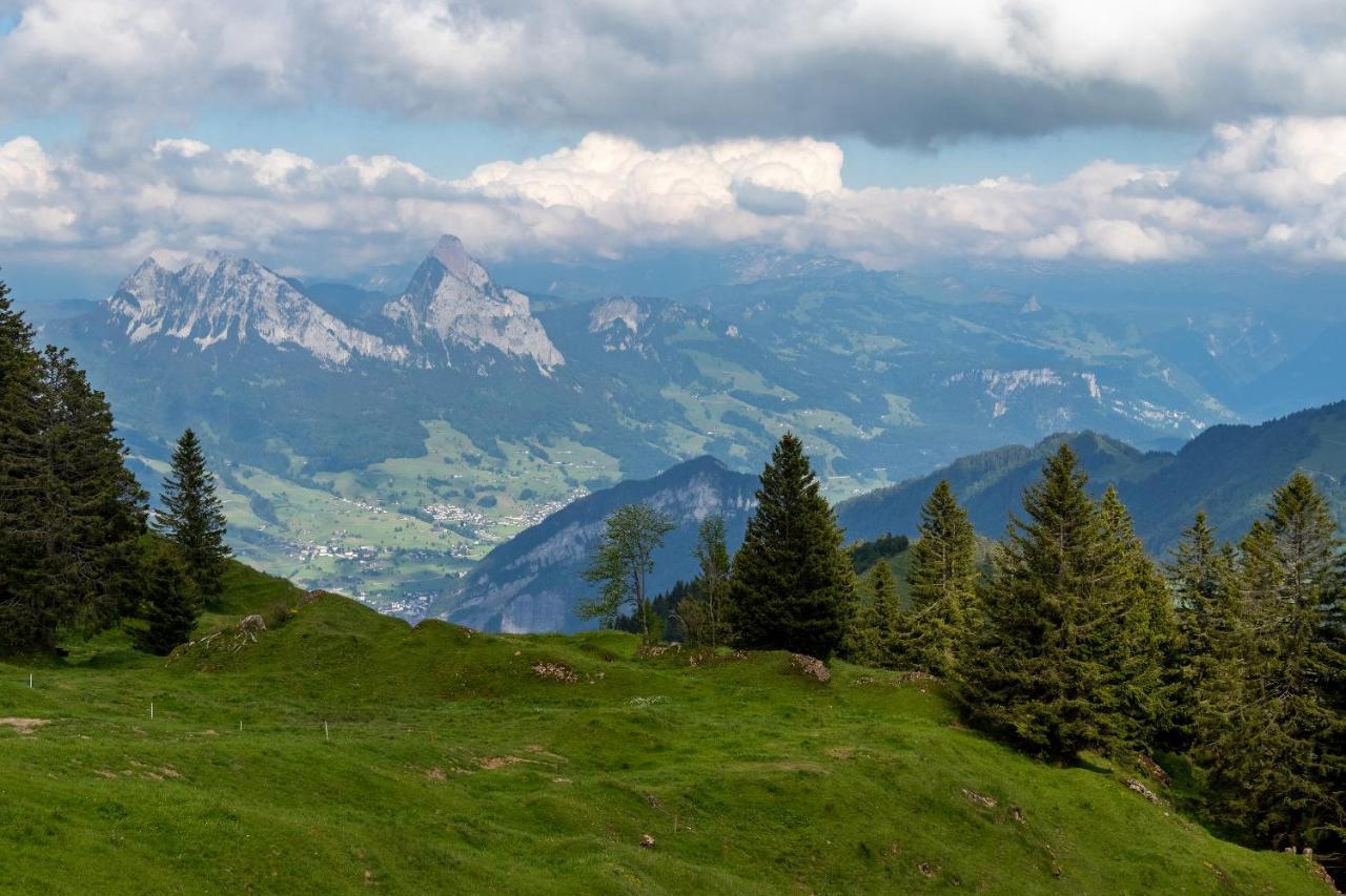 Rigi-Burggeist Alpine Guesthouse Герсау Экстерьер фото
