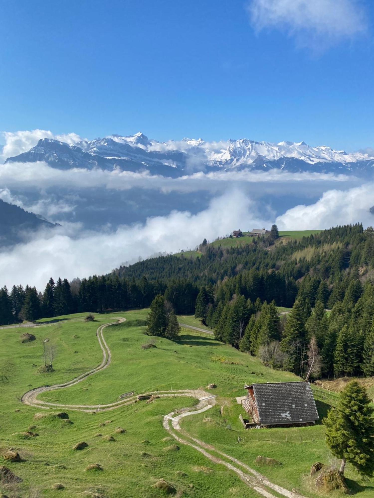 Rigi-Burggeist Alpine Guesthouse Герсау Экстерьер фото